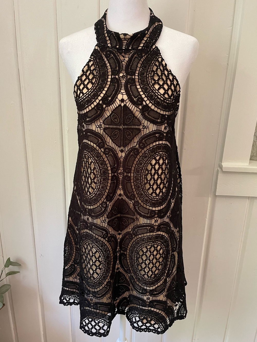 Judith March Halter Lace Dress